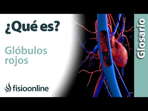 ¿Qué pasa si tengo los glóbulos rojos bajos?