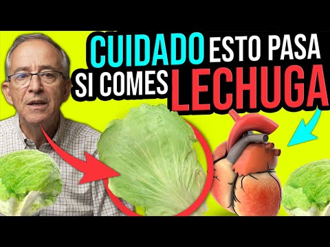 ¿Qué pasa si hierves lechuga?