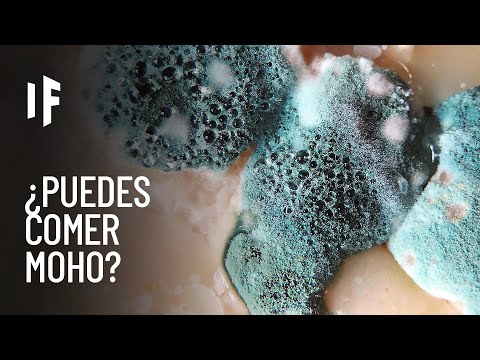 ¿Qué pasa si comes queso con moho?