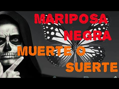 ¿Qué pasa si matas una mariposa café?