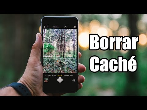 ¿Qué pasa si borras el cache de tu dispositivo?