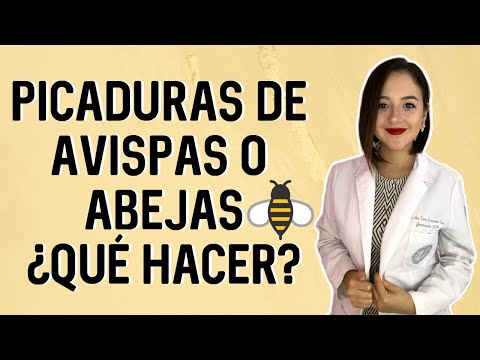 ¿Qué pasa si una avispa negra te pica?