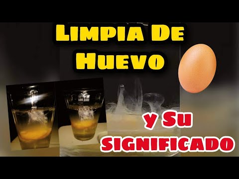 ¿Qué pasa si un huevo se rompe en una superficie limpia?