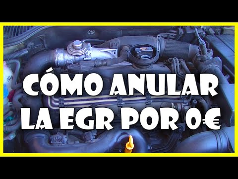 ¿Qué pasa si desconecto la válvula EGR de mi coche?