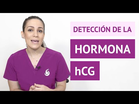 ¿Qué pasa si la hormona HCG disminuye durante el embarazo?