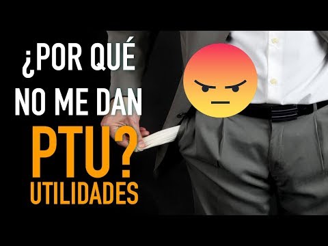 ¿Qué pasa si no recibo mi PTU?