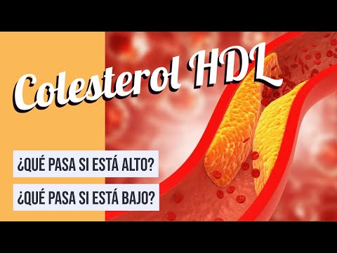 ¿Qué pasa si tengo el HDL bajo?
