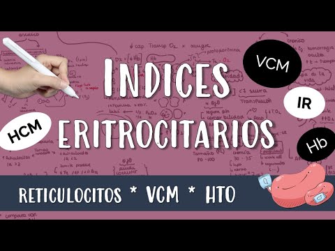 ¿Qué pasa si tengo el VCM alto?