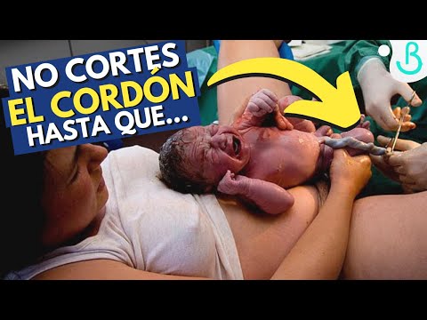 ¿Qué pasa si no se corta el cordón umbilical?