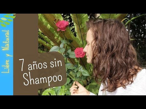 ¿Qué pasa si no uso shampoo?