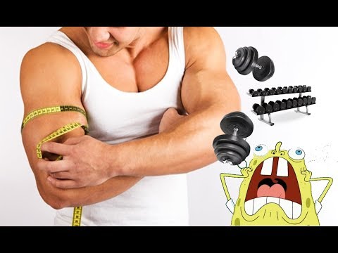 ¿Qué pasa si dejo de ir al gym por 2 semanas?
