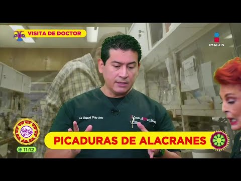 ¿Qué pasa si me pica un alacrán y no recibo atención médica?