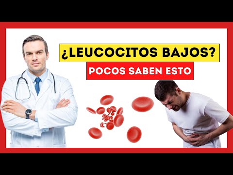 ¿Qué pasa si tengo los leucocitos bajos?