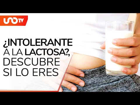 ¿Qué pasa si eres intolerante a la lactosa?