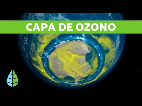 ¿Qué pasa si no cuidamos la capa de ozono?