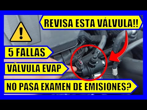 ¿Qué pasa si falla la válvula canister en tu vehículo?