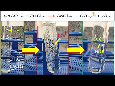 ¿Qué pasa si agregamos HCl a CaCO3?