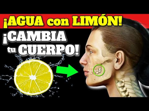 ¿Qué pasa si tomas gasolina? Descubre sus efectos en el cuerpo humano