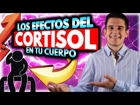 ¿Qué pasa si libero mucho cortisol en mi cuerpo?