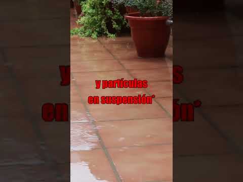 ¿Qué pasa si riegas una planta con agua destilada?