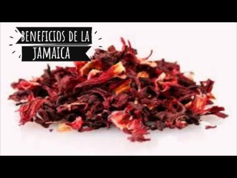 ¿Qué pasa si tomo mucha agua de jamaica?