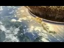 ¿Qué pasa si cae un meteorito en la tierra?