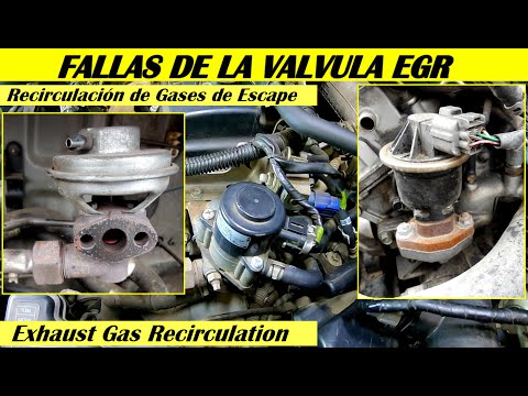 ¿Qué pasa si falla la EGR en mi coche?