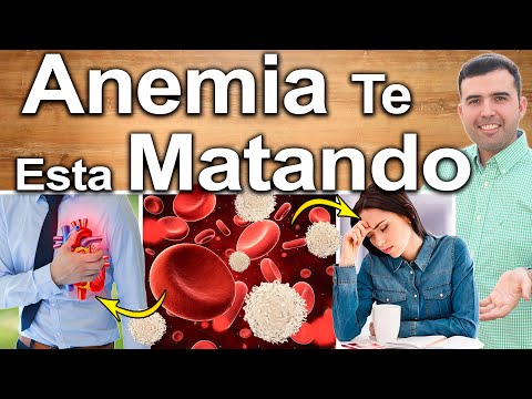¿Qué pasa si tienes anemia? Causas, síntomas y tratamiento
