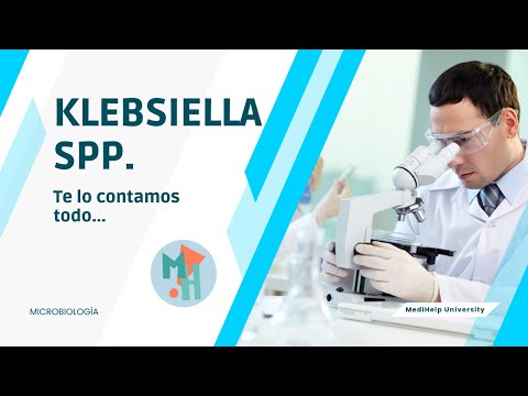 ¿Qué pasa si tengo Klebsiella pneumoniae?