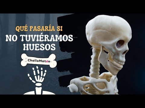 ¿Qué pasaría si no tuviéramos huesos?