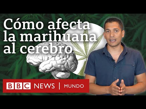 ¿Qué pasa si fumo mucho cripy?