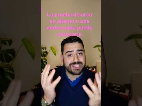 ¿Qué pasa si mi pareja tiene Helicobacter pylori?