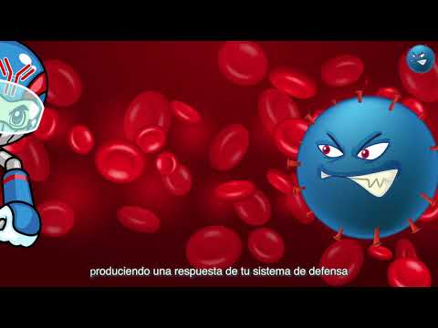 ¿Qué pasa si me vacuno con CanSino y Pfizer?