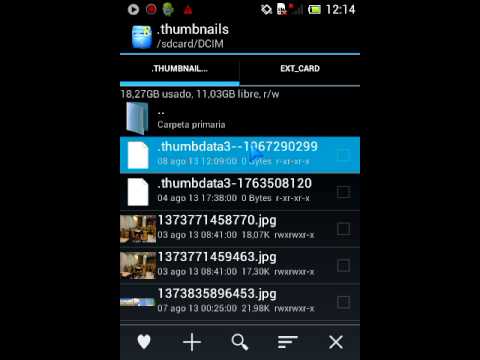 ¿Qué pasa si borro archivos dthumb?