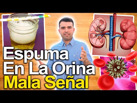 ¿Qué pasa si orinas con espuma? Causas y posibles soluciones