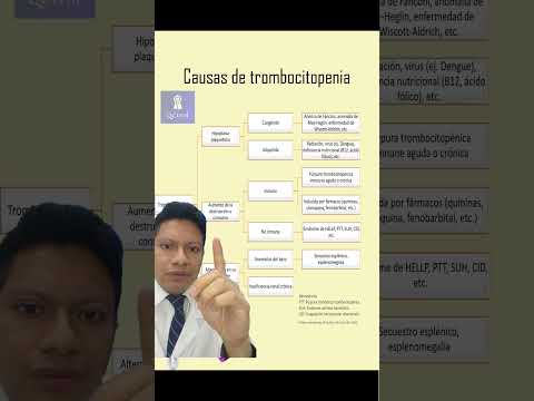 ¿Qué pasa si tengo las plaquetas bajas? Causas, síntomas y tratamiento