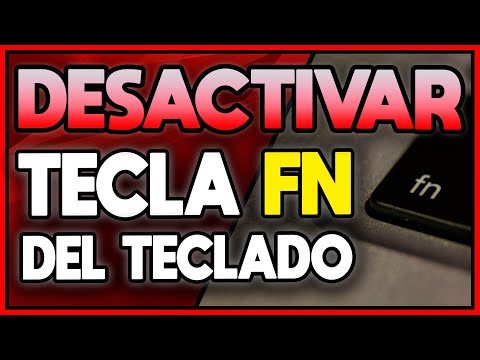 ¿Qué pasa si mi teclado no tiene la tecla FN?