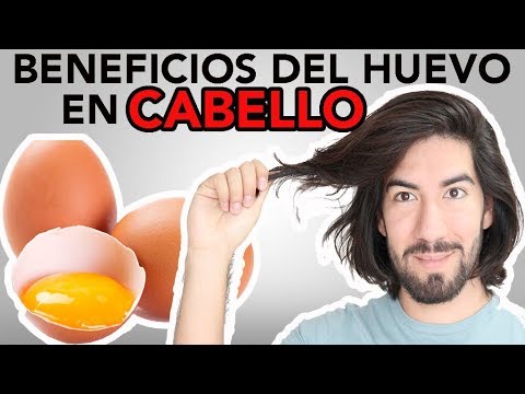 ¿Qué pasa si me echo huevo en el cabello? Descubre sus beneficios y desventajas