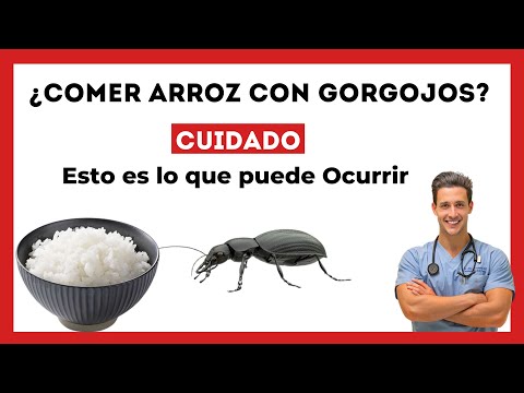 ¿Qué pasa si comes gorgojos?