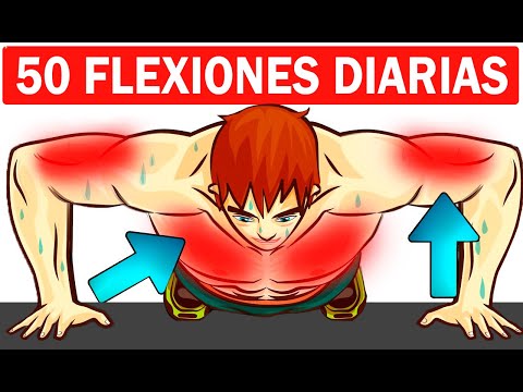 ¿Qué pasa si hago 50 lagartijas diarias?