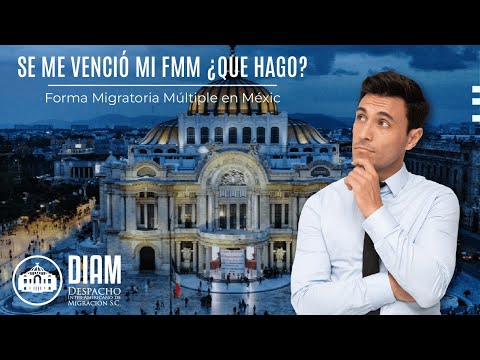 ¿Qué pasa si pierdo mi FMM?