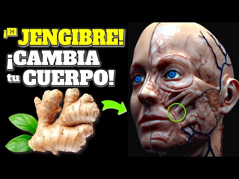 ¿Qué pasa si como jengibre crudo?