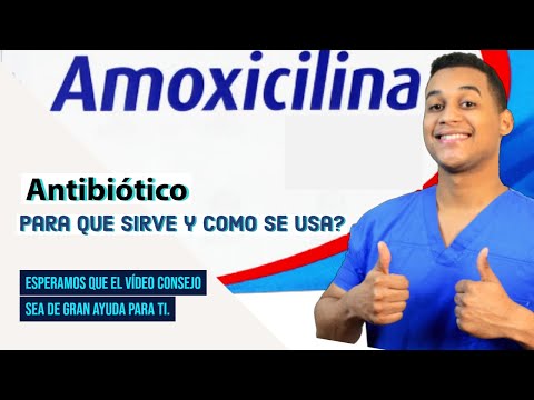 ¿Qué pasa si tomo amoxicilina cada 6 horas?