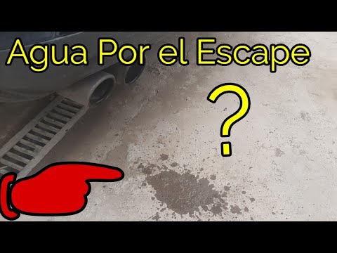 ¿Qué pasa si entra agua al escape del carro?
