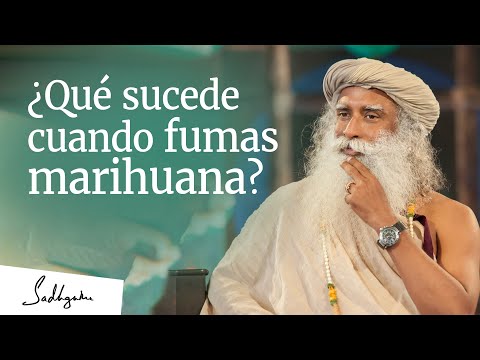 ¿Qué pasa si inhalas el aroma de una planta de marihuana?