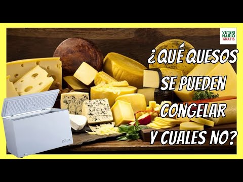 ¿Qué pasa si se congela el queso Oaxaca?