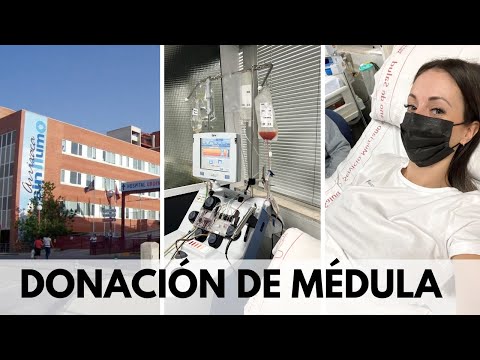 ¿Qué pasa si donas médula ósea?