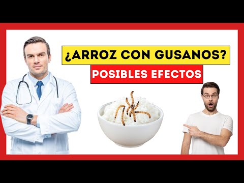 ¿Qué pasa si comes arroz con gusanos?