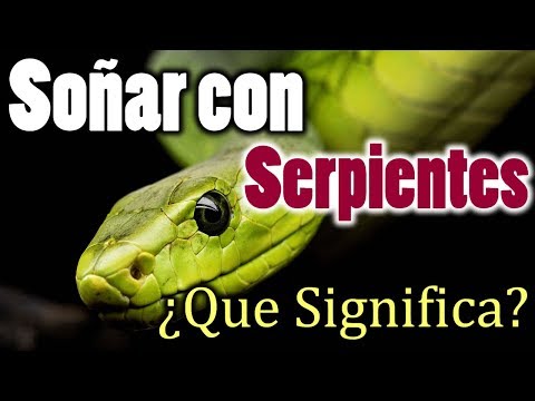 ¿Qué pasa si sueñas con serpientes? Descubre su significado