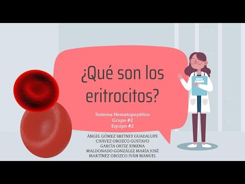 ¿Qué pasa si los eritrocitos están bajos?
